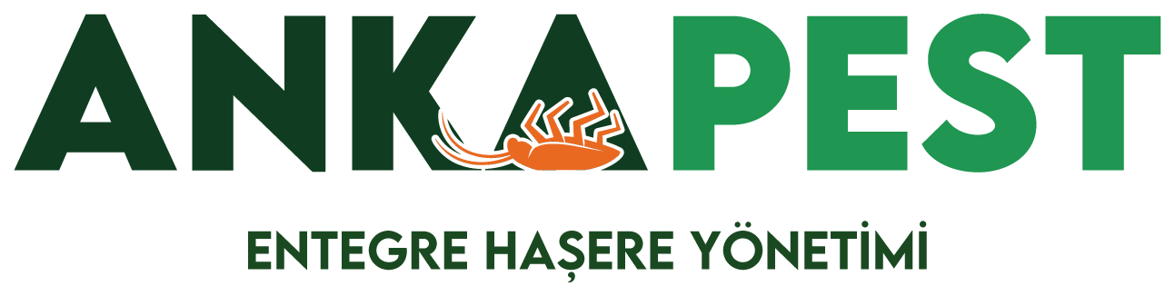 Anka Pest